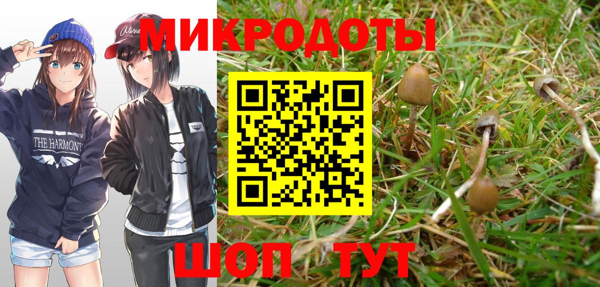 Галлюциногенные грибы Psilocybe  Вход с VPN  магазин  наркотиков  Баксан 